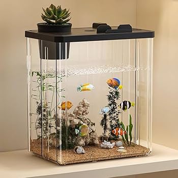 Amazon | N&S 小型水槽 プラスチック エアポンプ付き メダカ飼育